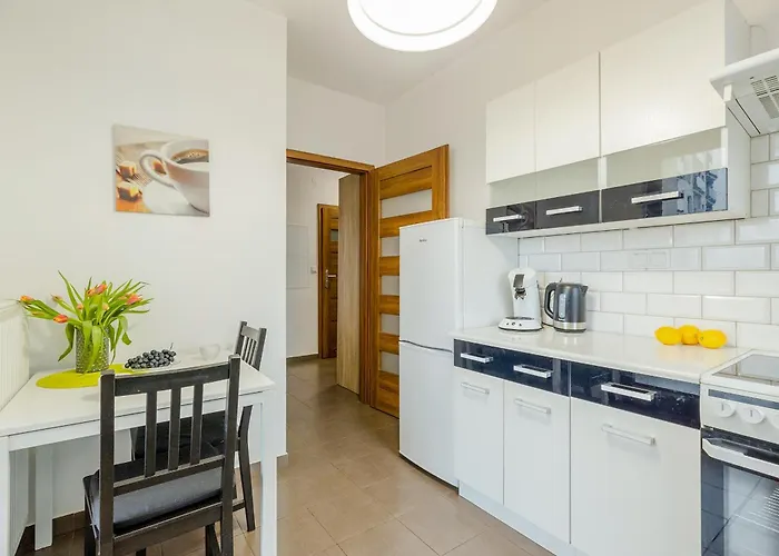 Shortstaypoland Skierniewicka Lejlighed